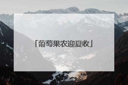 葡萄果农迎夏收